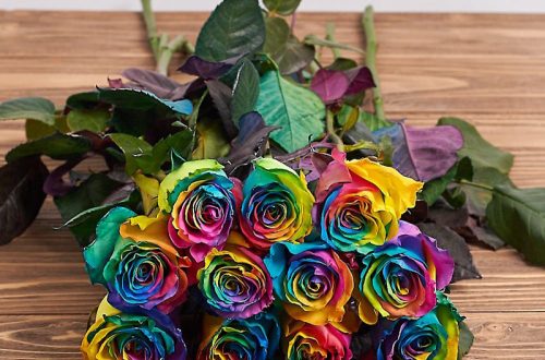 купити троянди