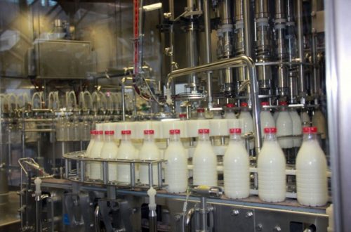 производстве молочных продуктов